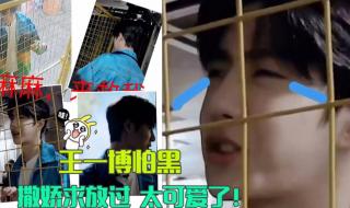 王一博你能同情我吗 王一博你能同情我吗