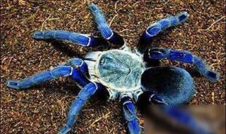 真实地球照片太吓人 真实地球照片太吓人