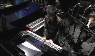 王菲幻乐一场演唱会 王菲幻乐一场演唱会