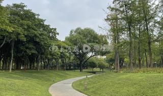 河南南阳遭遇极端暴雨